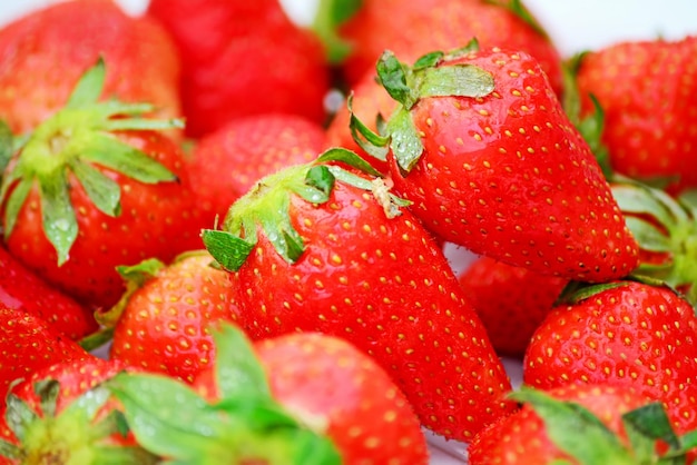 Cerca de varias fresas sobre un fondo blanco.