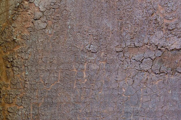 Cerca de viejas tablas de madera. Fondo texturizado.