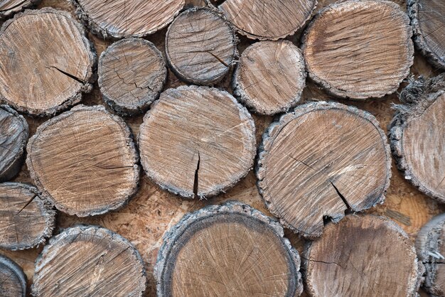 Cerca de viejos tocones de madera con patrones naturales. Fondo de madera en mal estado