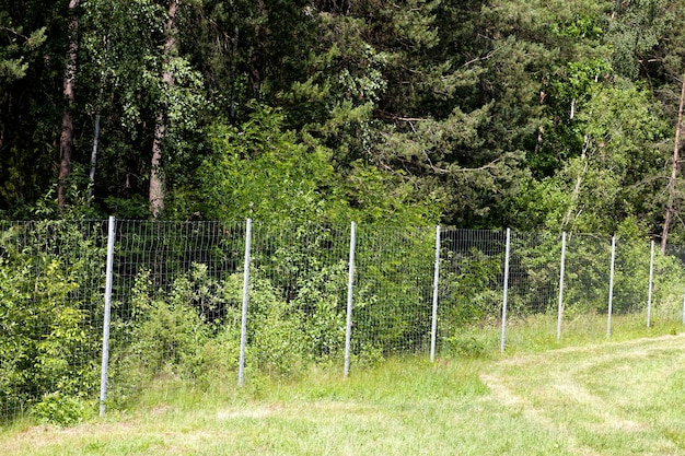 Cercas de metal no território da floresta para restringir o movimento de animais selvagens, close-up da estrutura