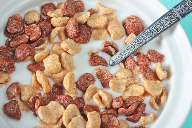 Cereais de pequeno-almoço rápido no leite fechar