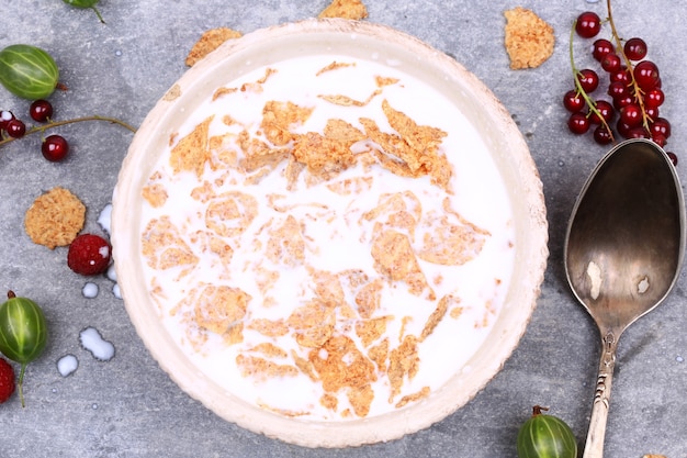 Cereais matinais com frutas vermelhas e leite rústico