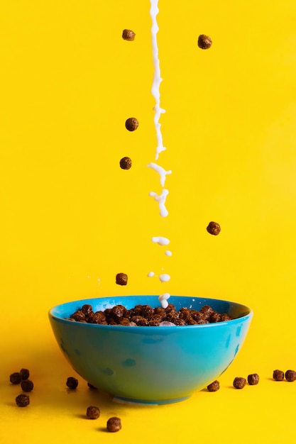 Cereales de chocolate y leche vertidos en el tazón