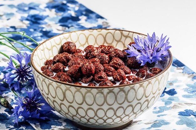 Cereales para el desayuno, cereales de chocolate en leche con flor de aciano en una servilleta azul natural, concepto de nutrición saludable para los niños.