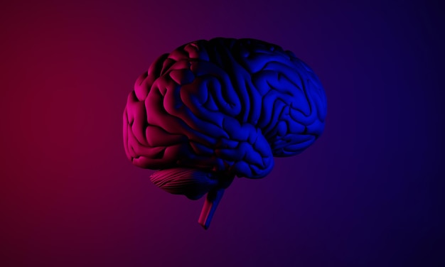 Cerebro 3d de ilustración de atención médica humana que representa la salud de la célula neuronal piensa en la idea en el fondo