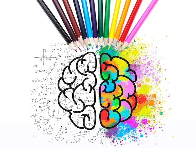 Cerebro colorido bosquejo ciencia e imaginación