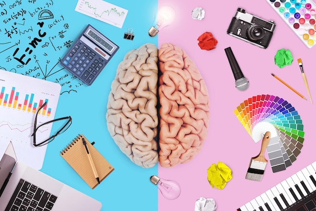 Cerebro creativo con funciones matemáticas de negocios de la izquierda y habilidad artística creativa de la derecha Mente lógica y habilidades idea creativa Concepto de elección de enseñanza Escuela y universidad Genio