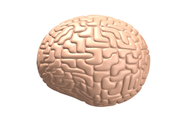 Cérebro humano 3D isolado no fundo branco ótimo para tópicos como ser inteligente etc.