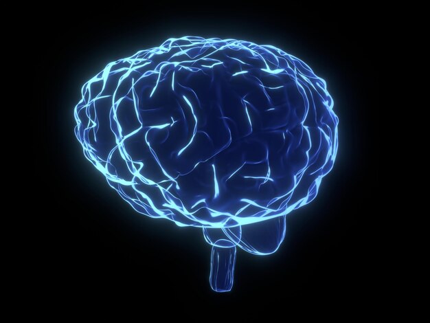 Cerebro humano aislado sobre fondo negro Ilustración 3D