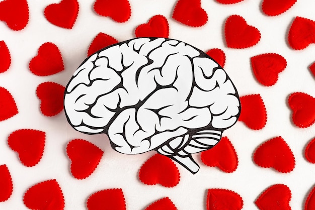 Foto el cerebro humano contra el fondo de muchos corazones rojos salud amor y medicina