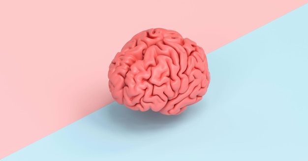 Cerebro humano contra un suelo lateral de remolque, imagen conceptual para el feminismo y los derechos de la mujer