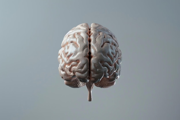 El cerebro humano flotando en un fondo gris es un concepto alucinante.