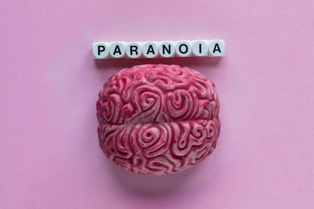 Cerebro humano con la palabra paranoia Concepto de salud mental