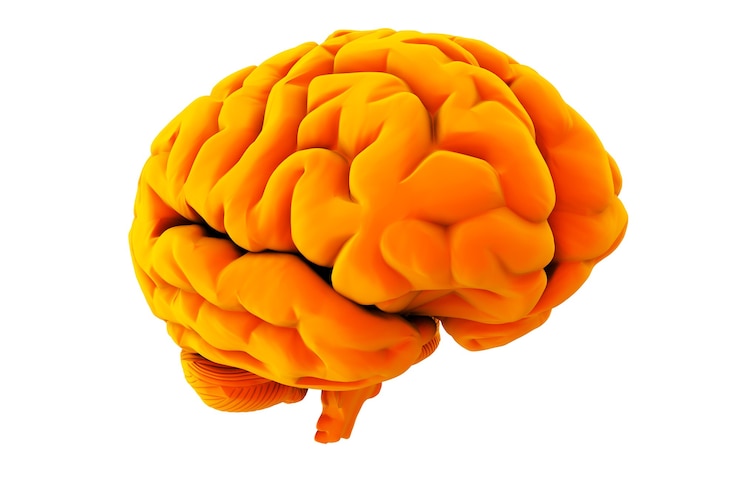 Foto cérebro laranja em fundo branco renderização 3d