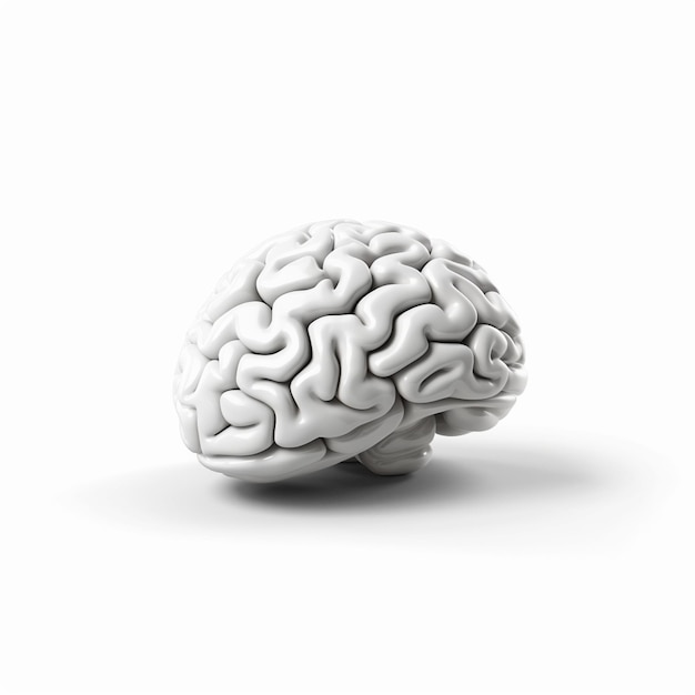 cerebro png