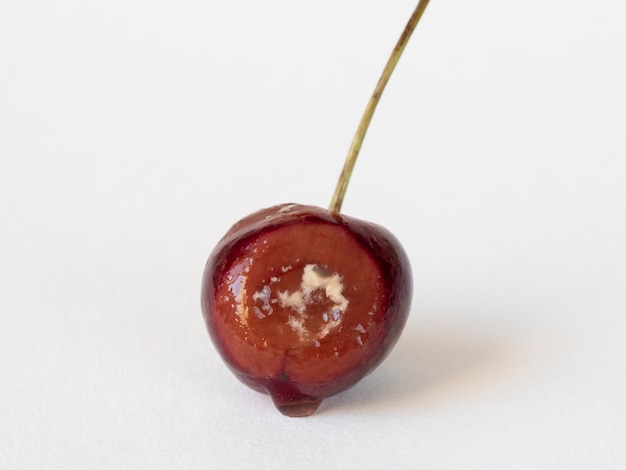 Cereja com podridão isolada em um fundo branco. Fruta vencida, argila, comida estragada