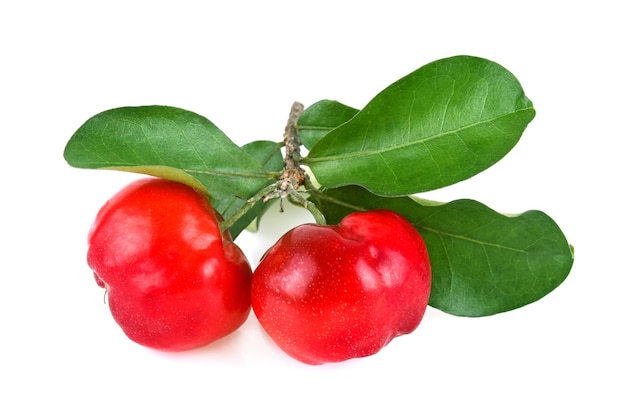 Cereja de Barbados, cereja tailandesa madura em fundo branco