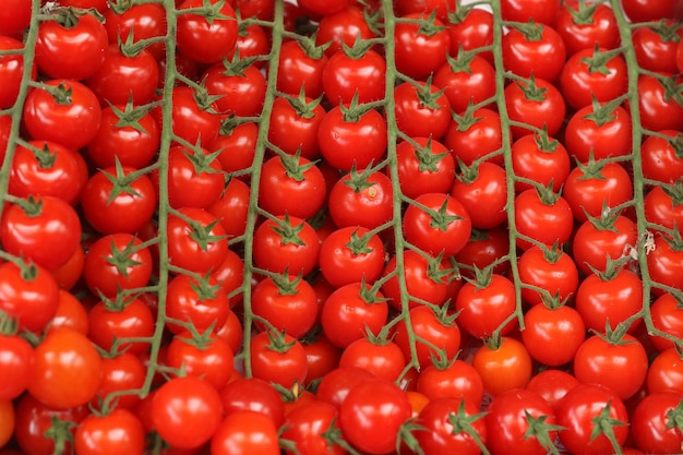 Cereja de tomate no mercado