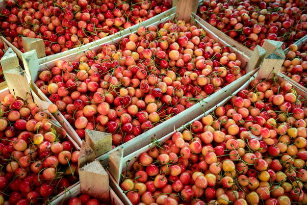 Cereja doce em um mercado agrícola