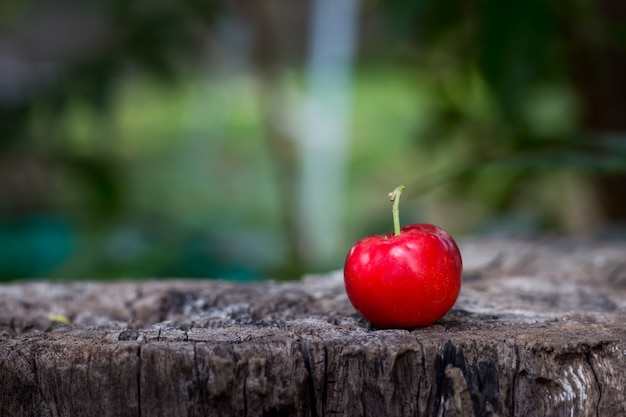 Cereja fruta tailandesa