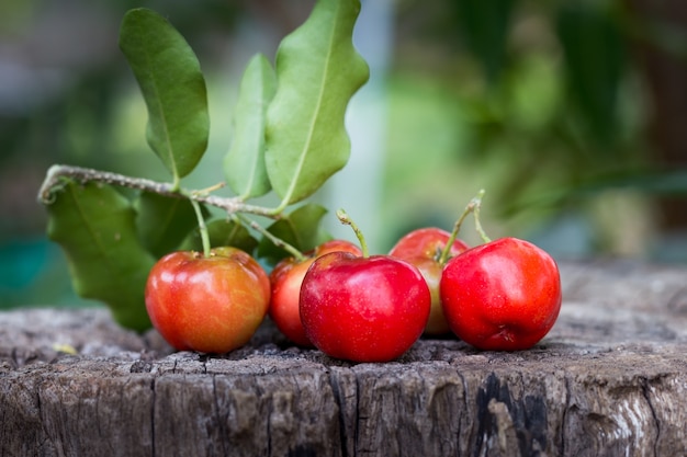 Cereja fruta tailandesa