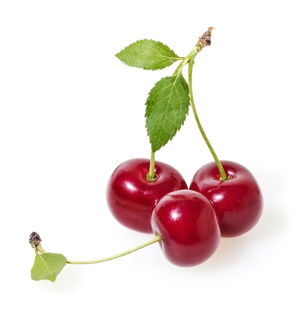 Cerejas com folhas verdes isoladas no fundo branco