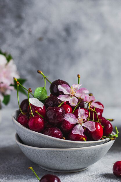 Cerejas cruas frescas na tigela de cerâmica cinza com folhas verdes, gotas de água e flor de cerejeira