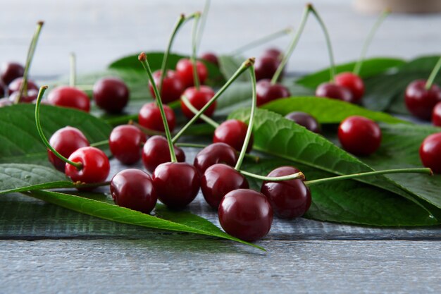 Cerejas frescas doces com folhas verdes