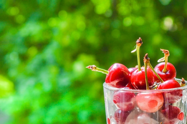 Cerejas frescas em recipientes de vidro em um dia de verão