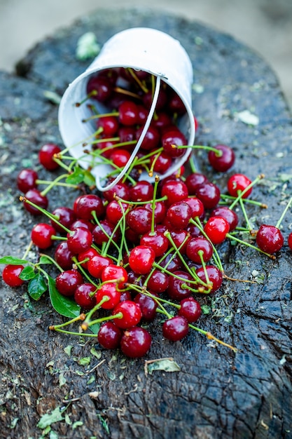 cerejas frescas prontas para comer