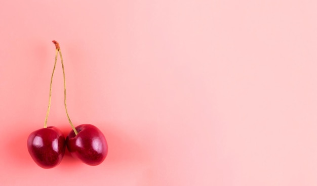 Foto cerejas isoladas em fundo rosa duas frutas de cereja doce fecham a macro flatlay com espaço para cópia
