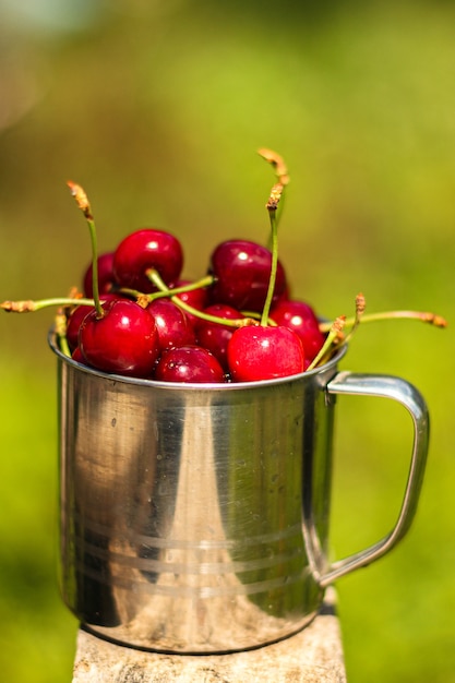 Foto cerejas maduras e suculentas em uma caneca de metal em um quadro sobre um fundo de natureza