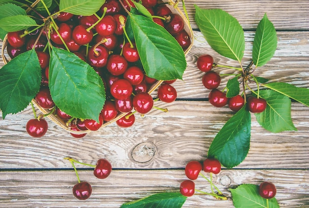 Cerejas vermelhas. foco seletivo. frutas de natureza alimentar.