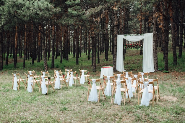 Ceremonia de boda en el bosque entre los árboles en la pista verde