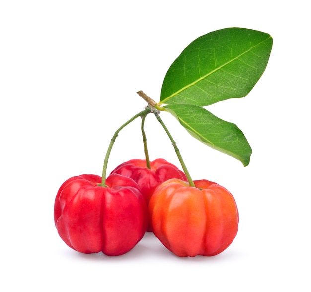 Cereza Acerola con hojas aisladas en blanco