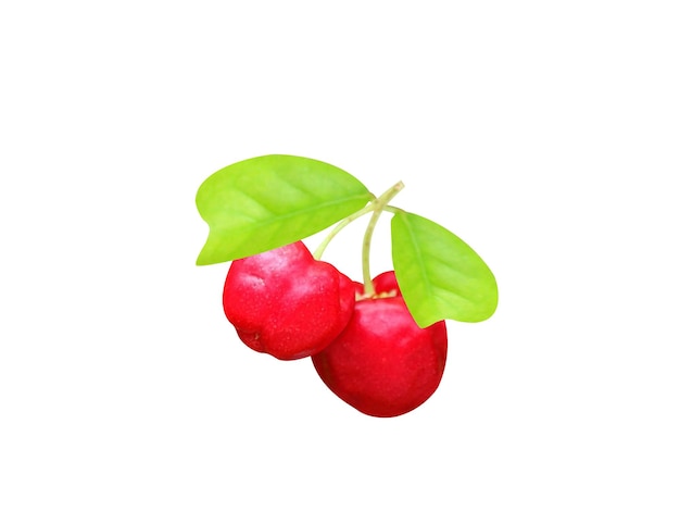 Foto la cereza de barbados o la cereza de acerola proporciona un contenido excepcional de vitamina c