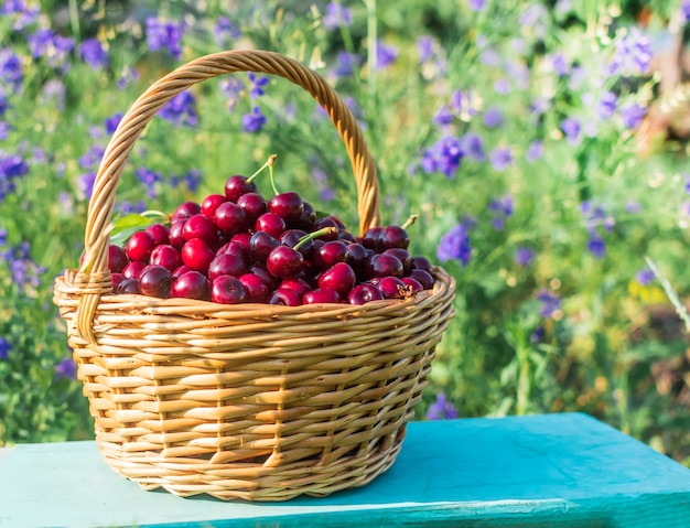 Cereza fresca en la cesta