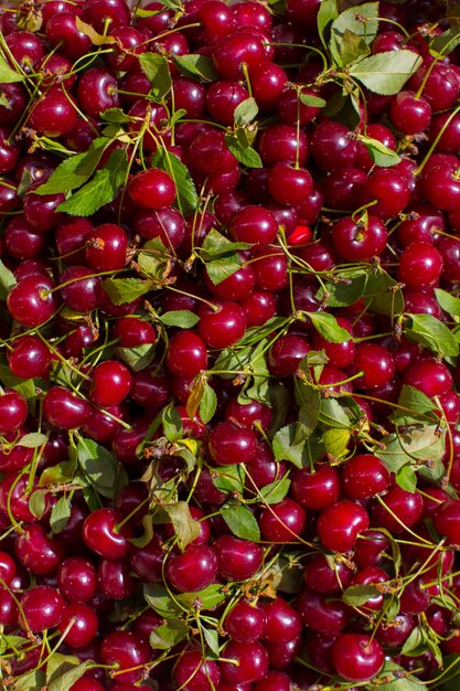 Cereza fresca con hojas verdes resumen de antecedentes de textura de patrón de frutas coloridas