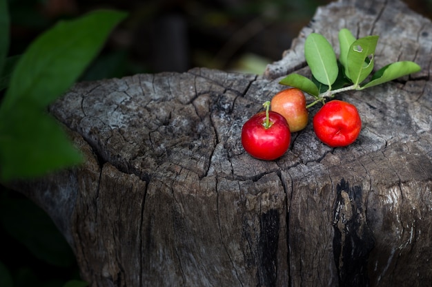 Cereza fruta tailandesa