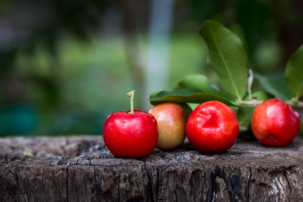 Cereza fruta tailandesa