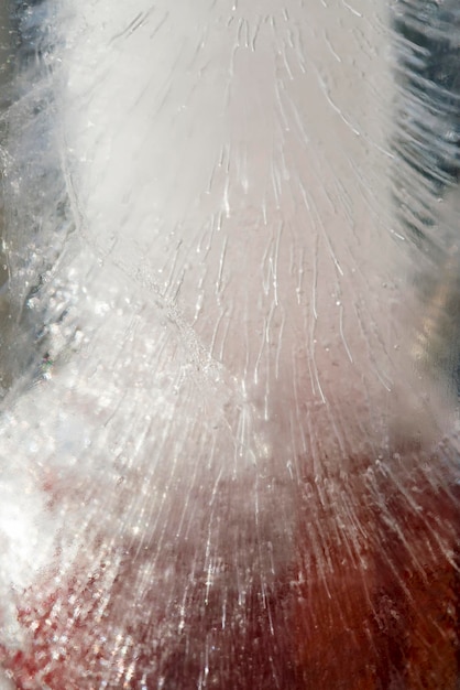 Cereza roja congelada en un trozo de hielo