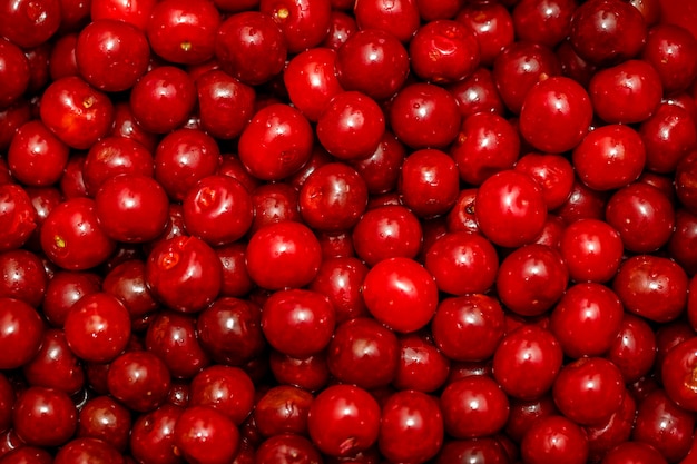 Cereza roja dulce