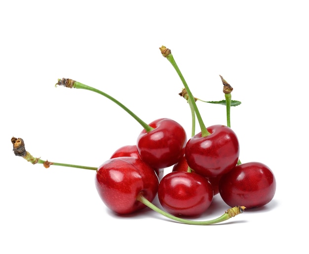 Cereza roja madura sobre un fondo blanco aislado