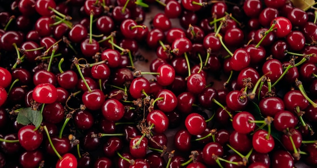 Cereza roja Montón de cerezas maduras con tallos