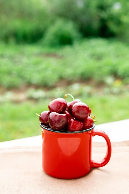 Cereza en un vaso rojo sobre un fondo de vegetación primer plano cosecha de cerezas