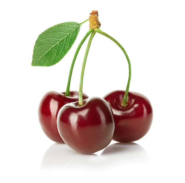 Cerezas aisladas sobre fondo blanco