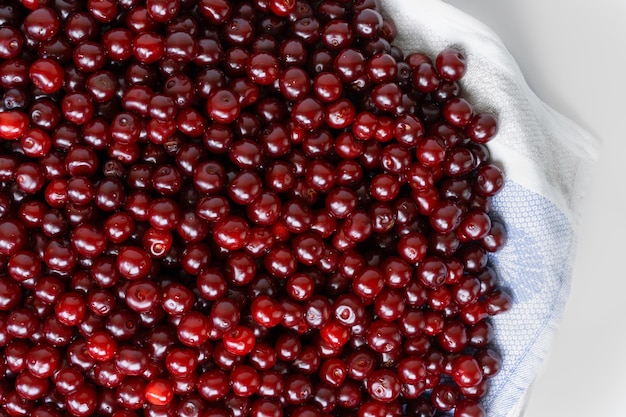 Cerezas en una bandeja sobre un fondo blanco.