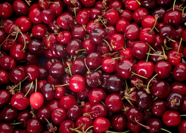 cerezas frescas de burlat