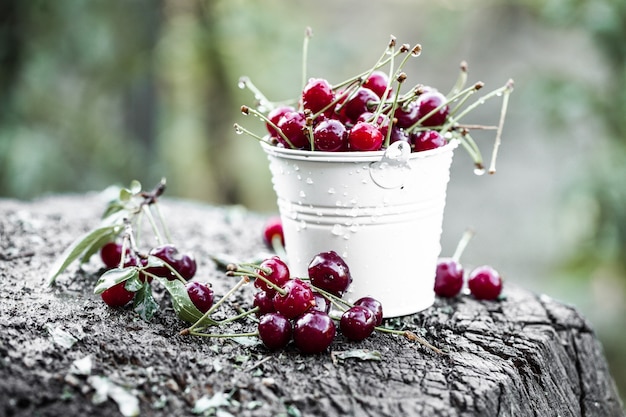 cerezas frescas listas para comer