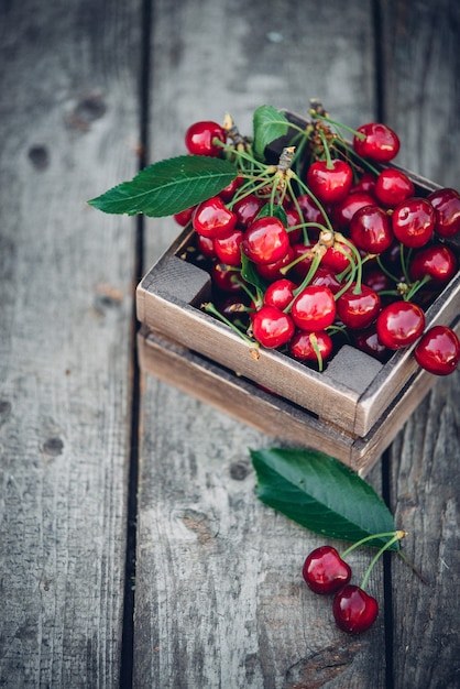 Cerezas con hojas en caja de madera vintage sobre mesa de madera rústica. Copie el espacio.